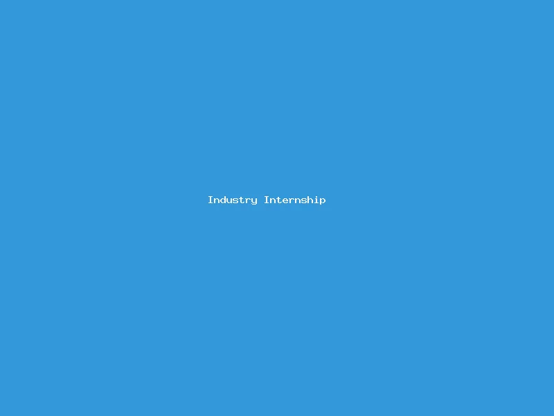 Industry Internship